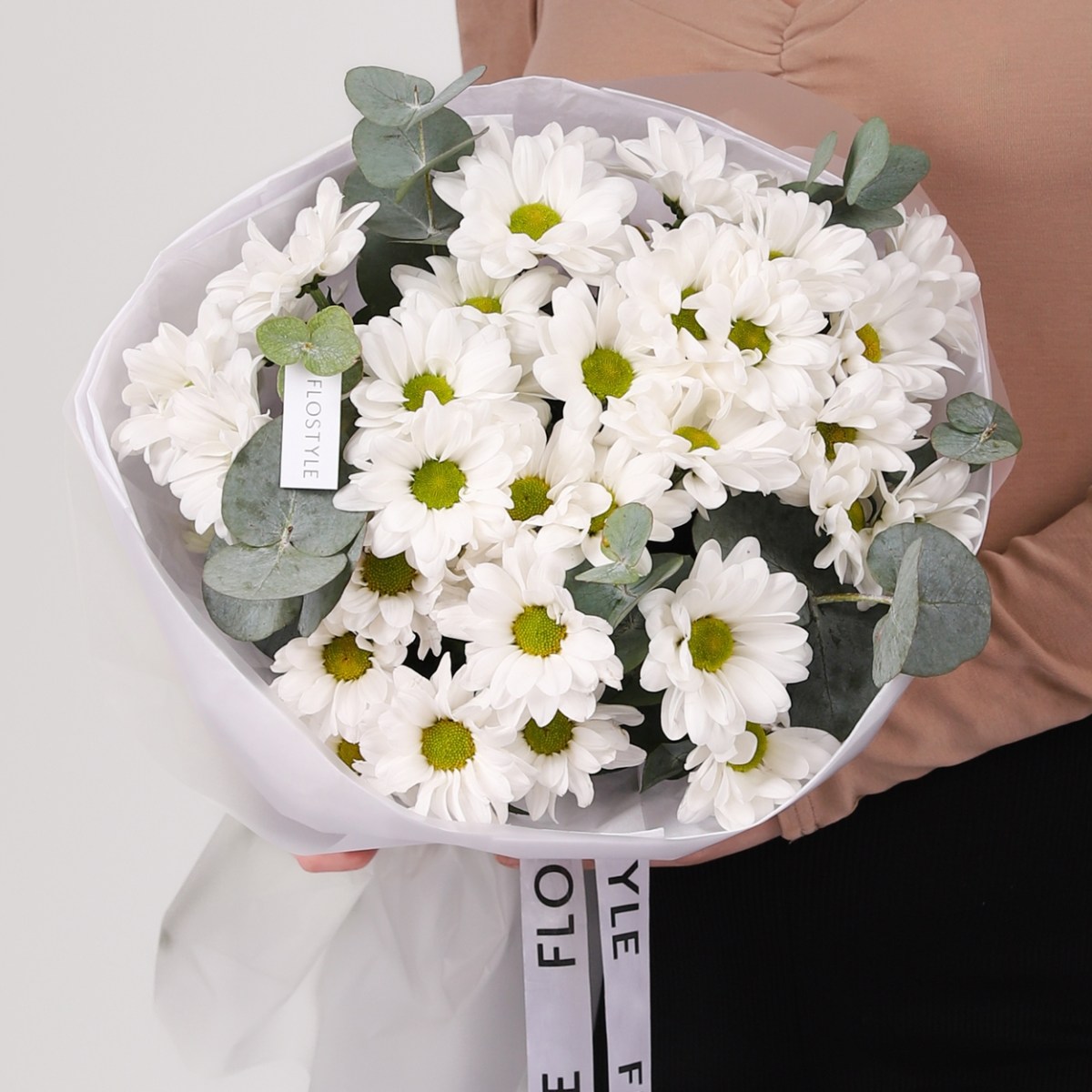 hrizantema romashka 389